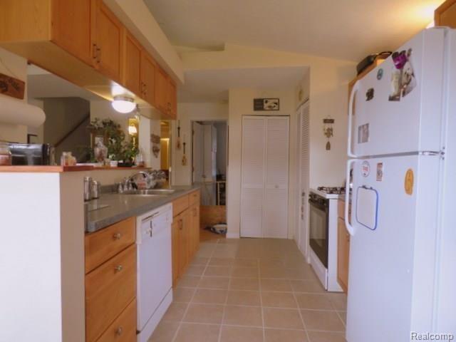 8845 Riverside Drive Brighton, MI 48116 - Photo 5 of 19 5 KITCHEN 3.jpg