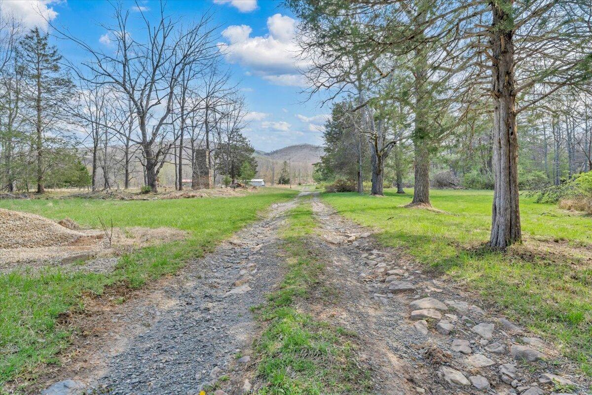 75 Johns Creek Road New Castle, VA 24127 - Photo 60 of 98 a view of a park with large trees