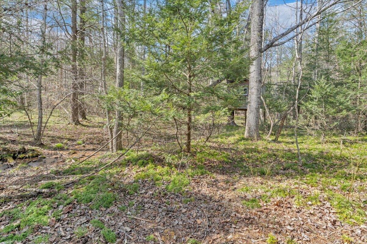 75 Johns Creek Road New Castle, VA 24127 - Photo 61 of 98 068-MIB08043