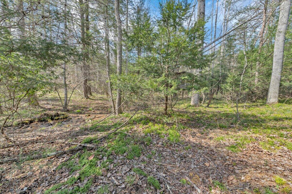 75 Johns Creek Road New Castle, VA 24127 - Photo 62 of 98 069-MIB08046