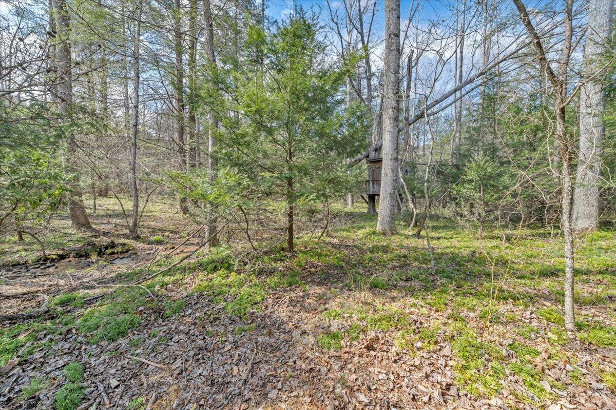 75 Johns Creek Road New Castle, VA 24127 - Photo 63 of 98 070-MIB08049