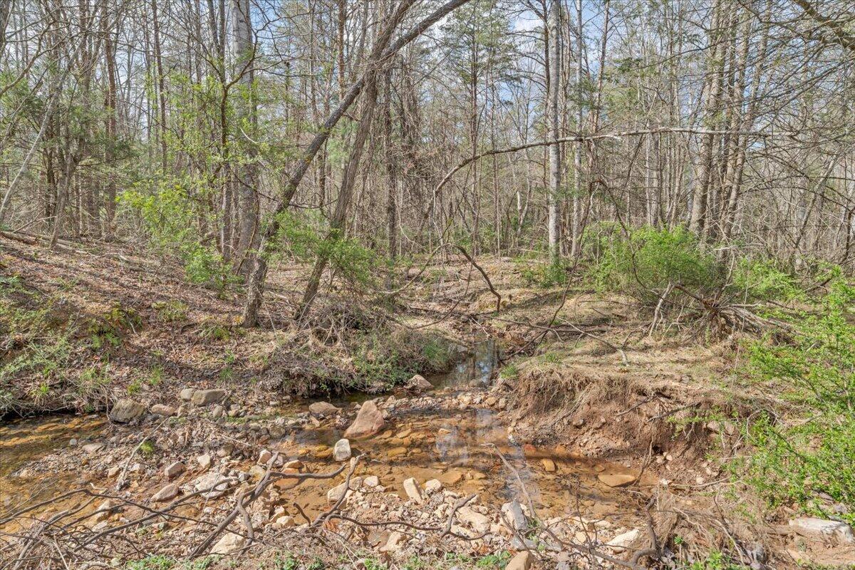 75 Johns Creek Road New Castle, VA 24127 - Photo 64 of 98 071-MIB08115
