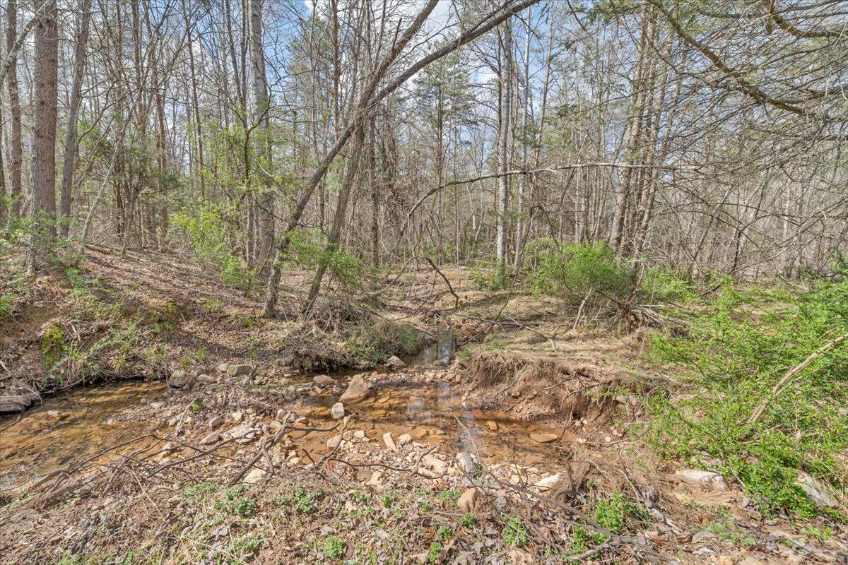 75 Johns Creek Road New Castle, VA 24127 - Photo 65 of 98 072-MIB08118