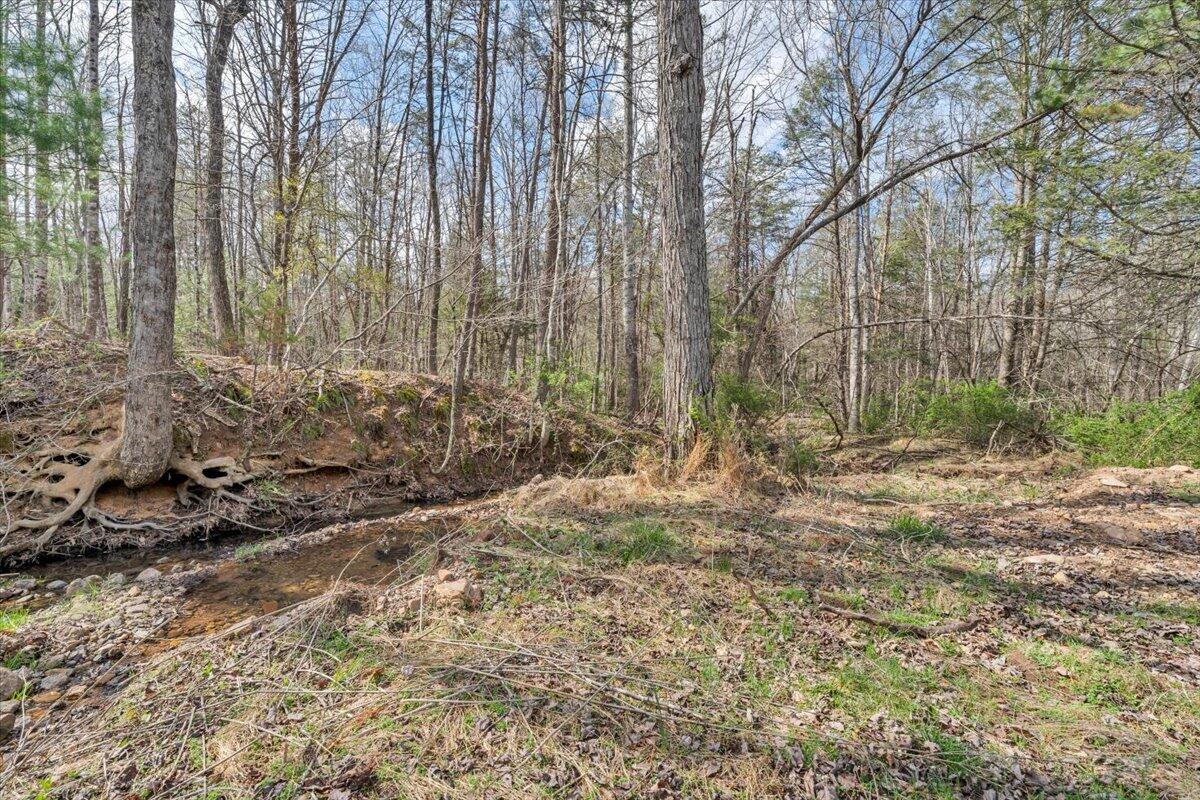 75 Johns Creek Road New Castle, VA 24127 - Photo 66 of 98 073-MIB08121