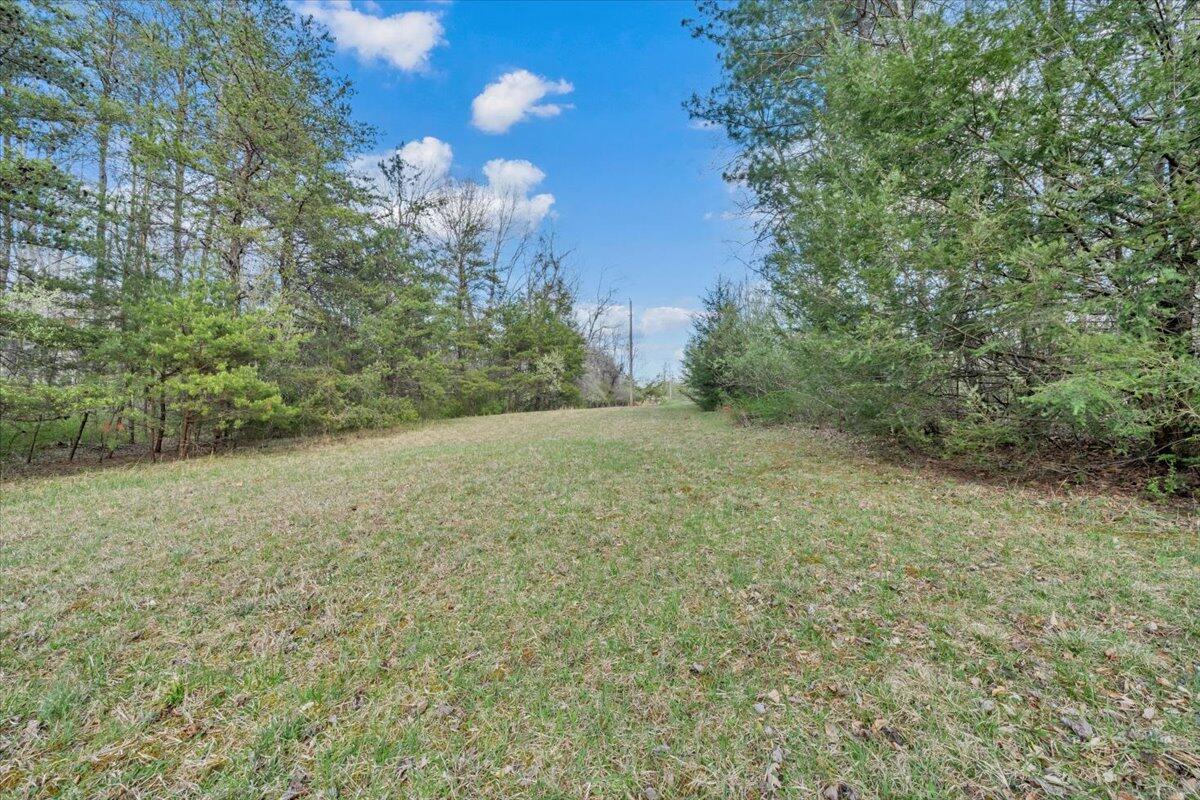 75 Johns Creek Road New Castle, VA 24127 - Photo 71 of 98 a view of a yard with a tree