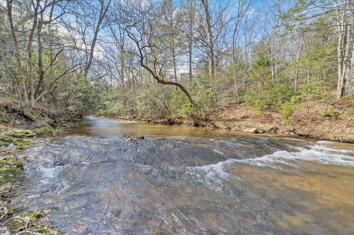 75 Johns Creek Road New Castle, VA 24127 - Photo 74 of 98 a view of dirt yard with a tree