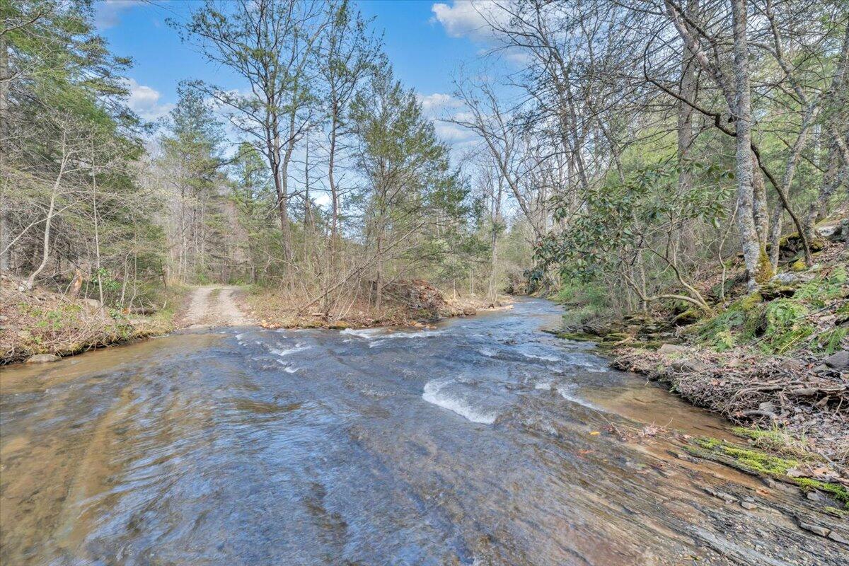 75 Johns Creek Road New Castle, VA 24127 - Photo 75 of 98 a view of dirt yard with a large tree