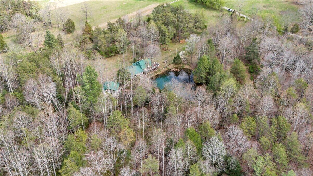 75 Johns Creek Road New Castle, VA 24127 - Photo 79 of 98 a view of a forest with a house