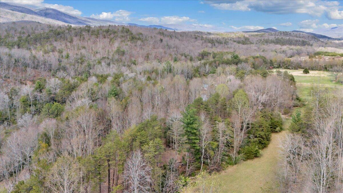 75 Johns Creek Road New Castle, VA 24127 - Photo 84 of 98 091-DJI_20260406162553_0049_D