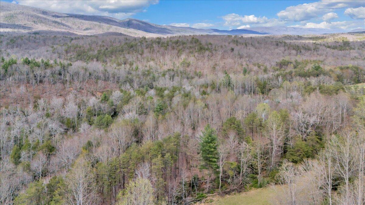 75 Johns Creek Road New Castle, VA 24127 - Photo 85 of 98 092-DJI_20260406162601_0050_D