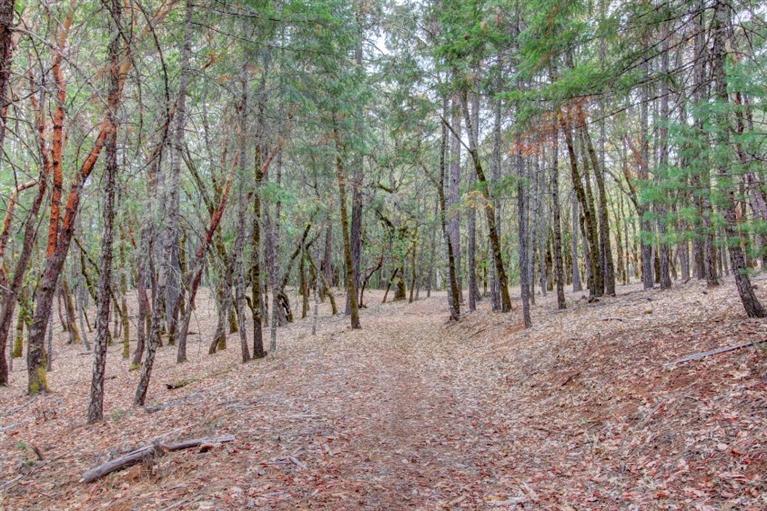 252 Gunnell Road Grants Pass, OR 97526 - Photo 11 of 12 Additional Photo