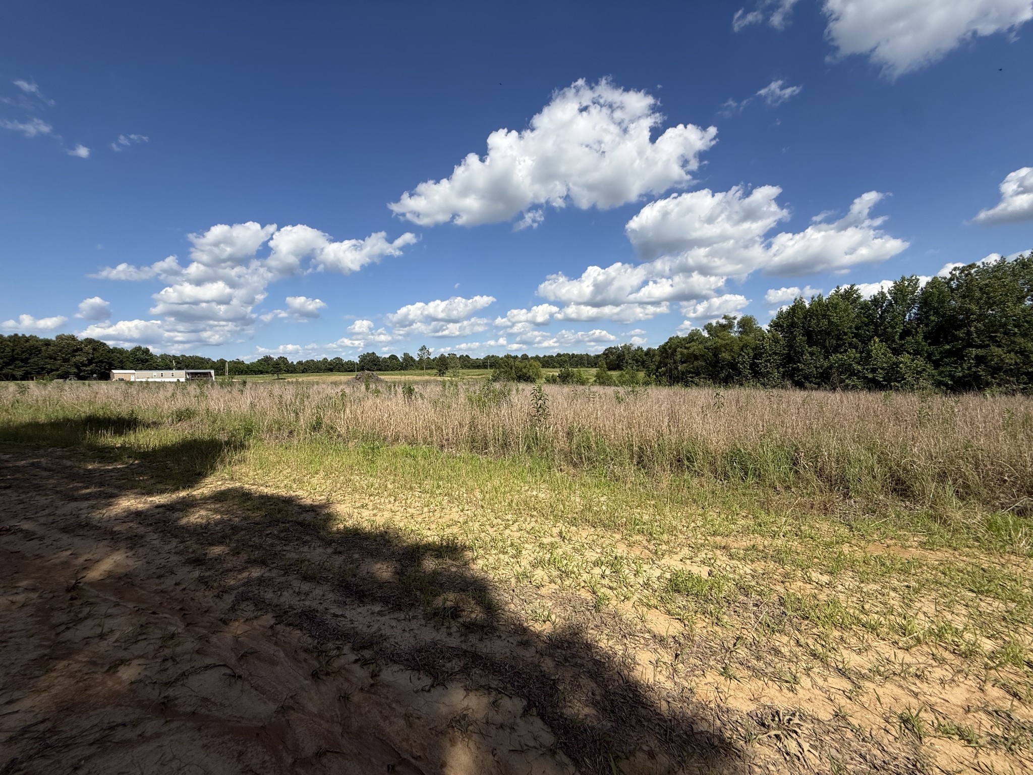 2333 Shady Grove Road McKenzie, TN 38201 - Photo 56 of 72