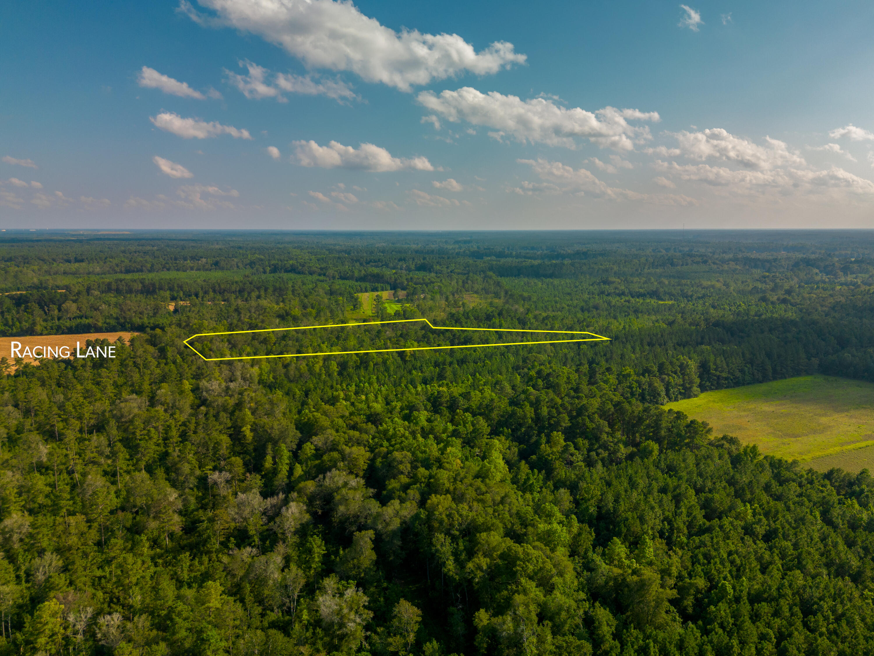0 Racing Lane Harleyville, SC 29448 - Photo 8 of 9 DJI_0090-Edit