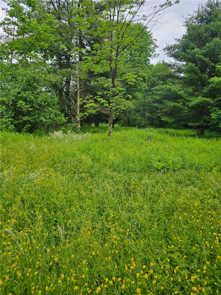 15 Co Road Fillmore, NY 14735 - Photo 23 of 37 Gallery Image 23
