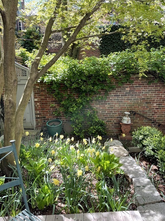 17 West Cedar Street Boston, MA 02108 - Photo 9 of 42 a view of a garden with a bench