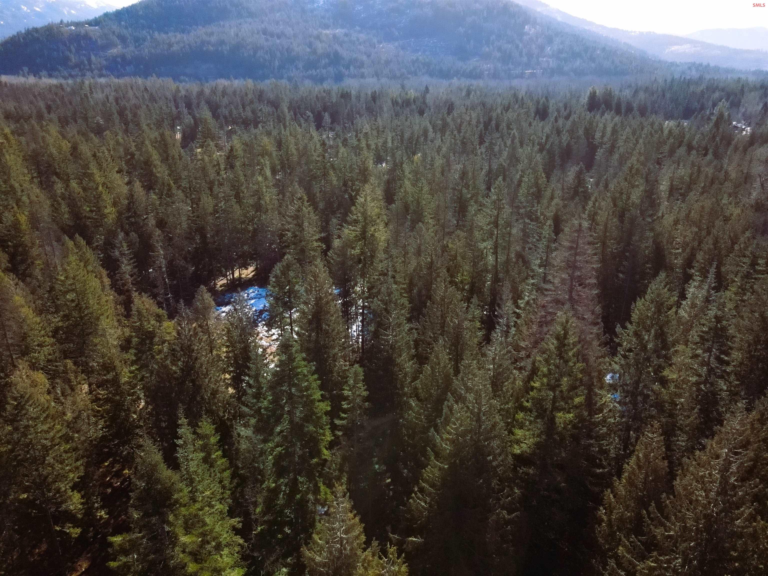 Nna East Spring Creek Road Clark Fork, ID 83811 - Photo 12 of 12