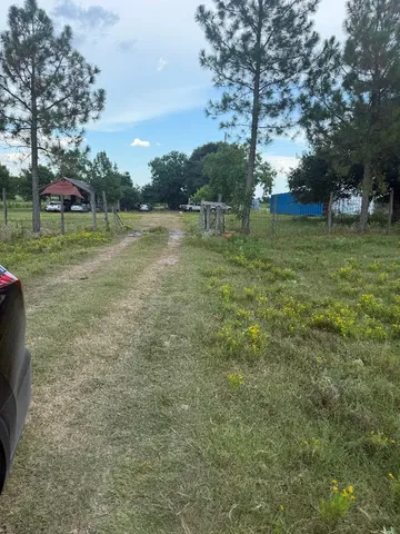 a view of a park with large trees