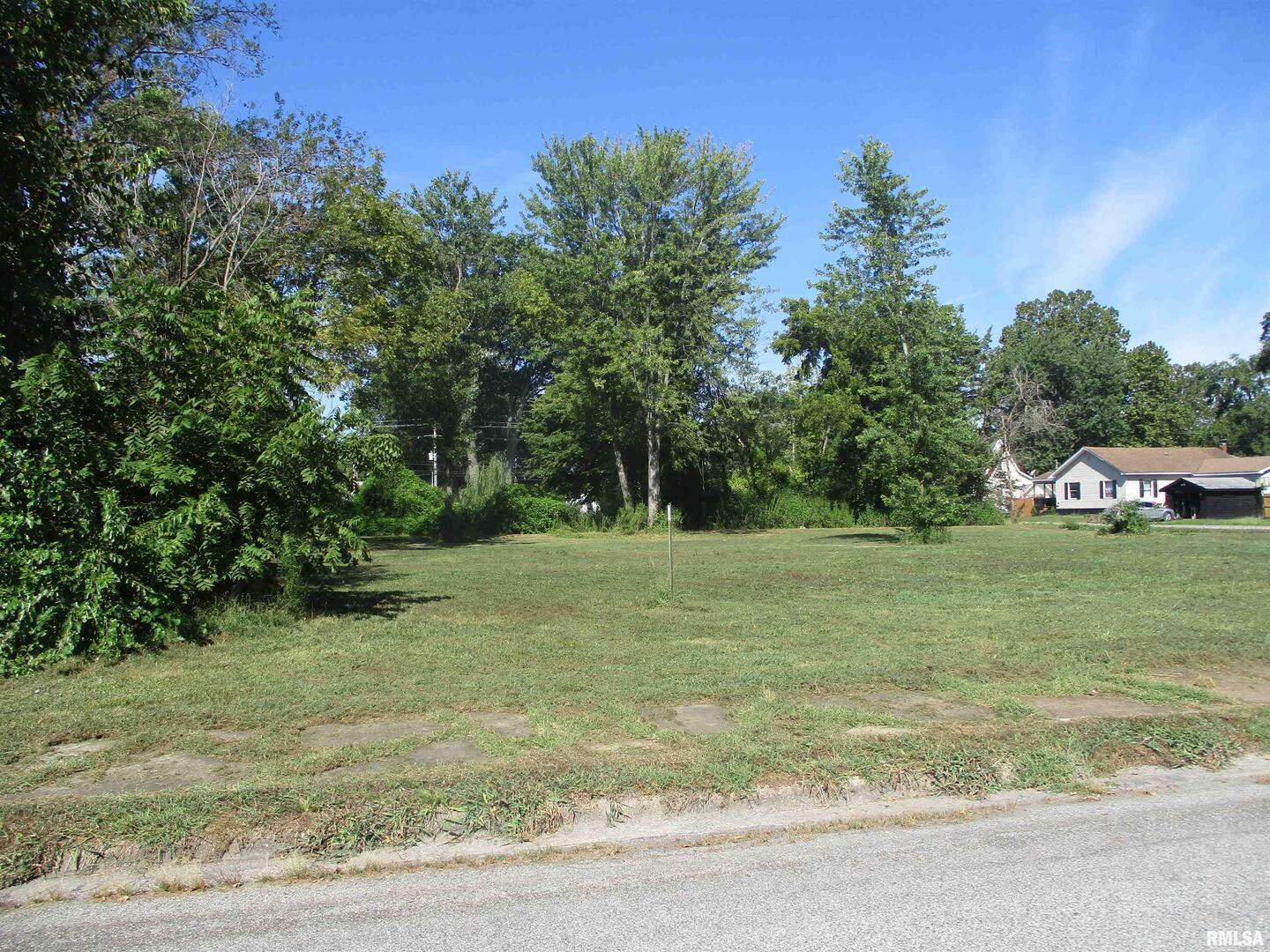 0 North Buchanan Street Benton, IL 62812 - Photo 11 of 23
