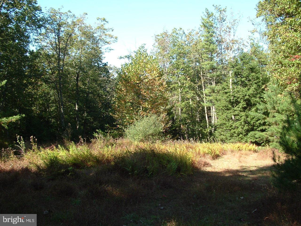 0 Peach Ridge Road Elliottsburg, PA 17024 - Photo 1 of 13 Gallery Image 1