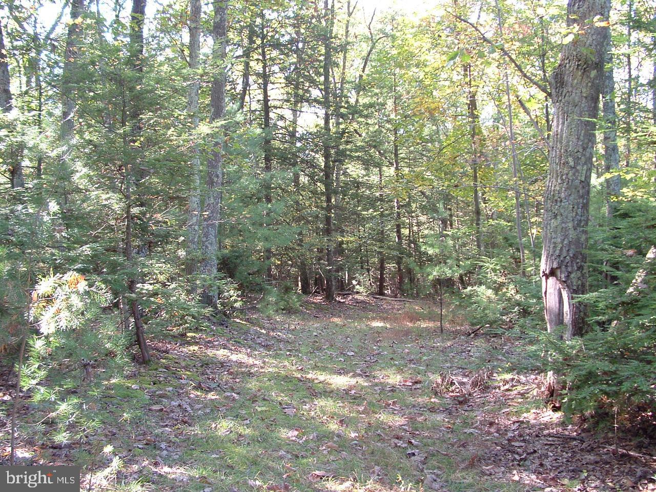 0 Peach Ridge Road Elliottsburg, PA 17024 - Photo 2 of 13 Gallery Image 2