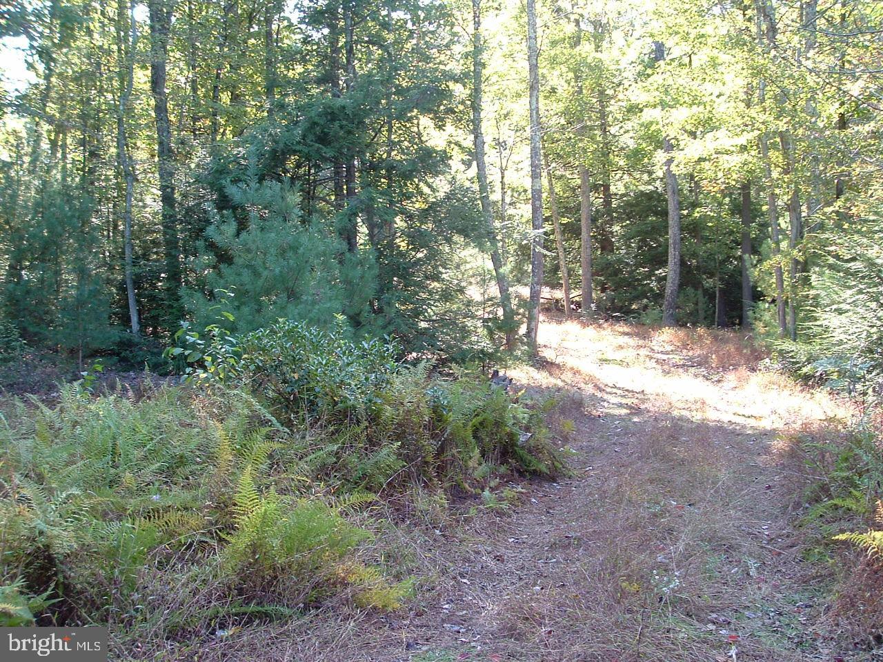 0 Peach Ridge Road Elliottsburg, PA 17024 - Photo 11 of 13 Gallery Image 11