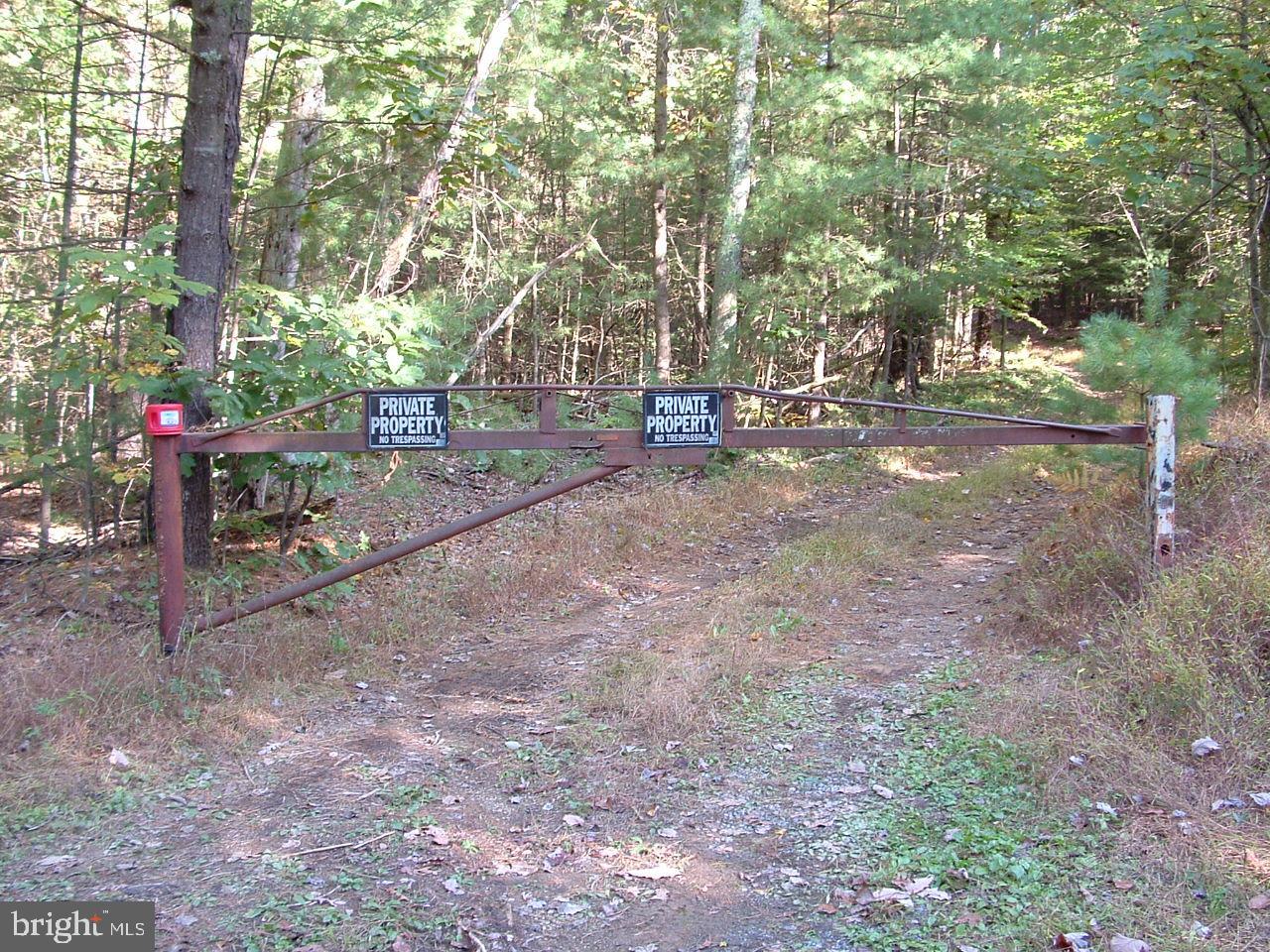 0 Peach Ridge Road Elliottsburg, PA 17024 - Photo 12 of 13 Gallery Image 12