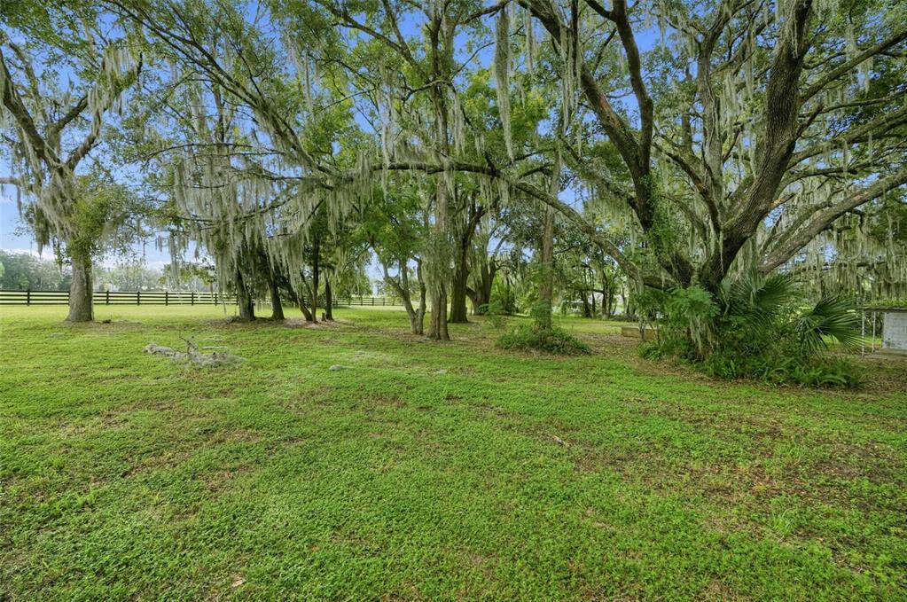 32922 Whitney Road Leesburg, FL 34748 - Photo 43 of 48 Gallery Image 43