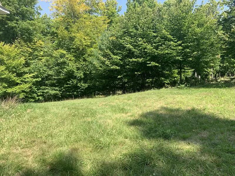 8551 Mitchell Road Atlanta, MI 49709 - Photo 7 of 9 Gallery Image 7