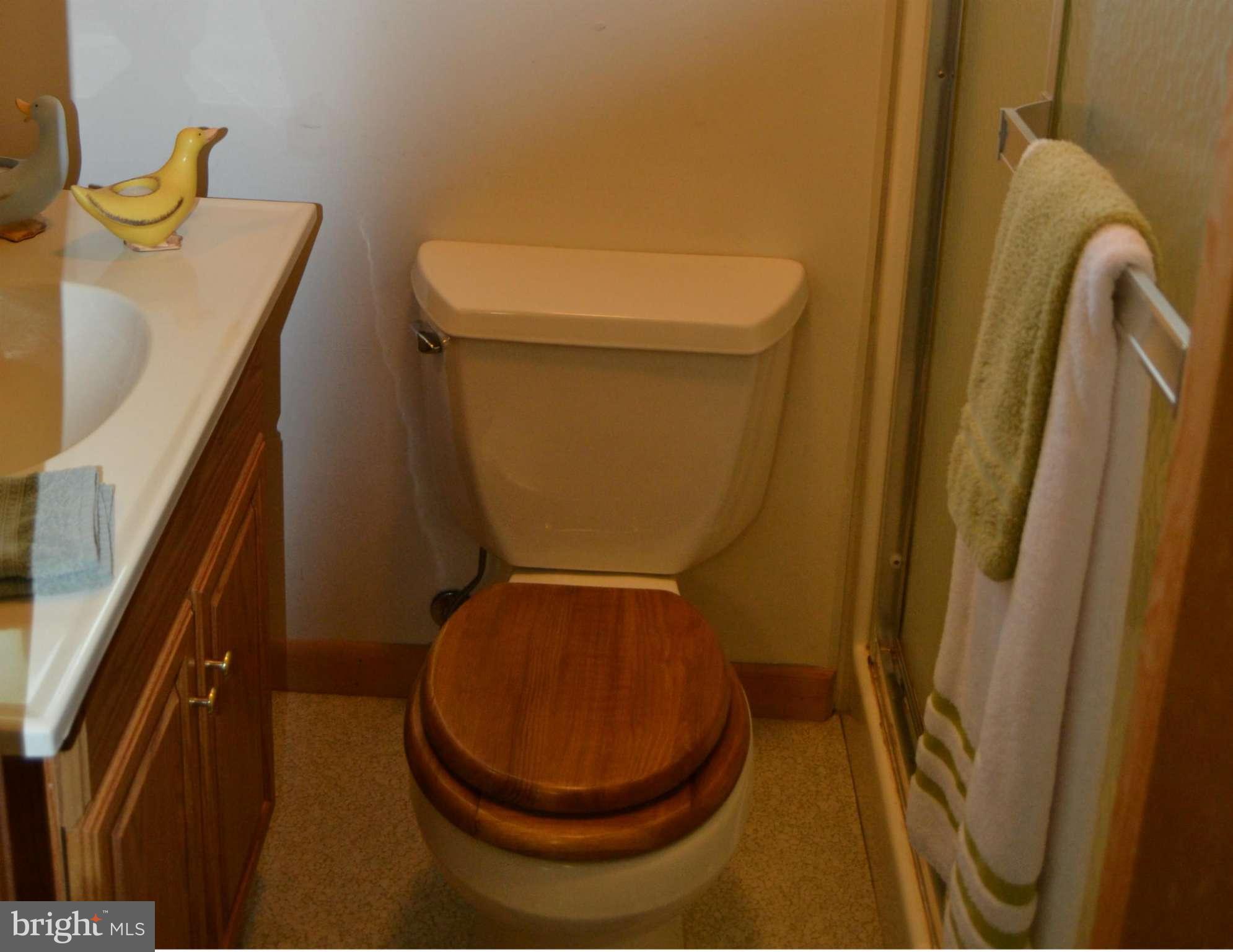 2427 Zion Road Baltimore, MD 21227 - Photo 14 of 22 Bath