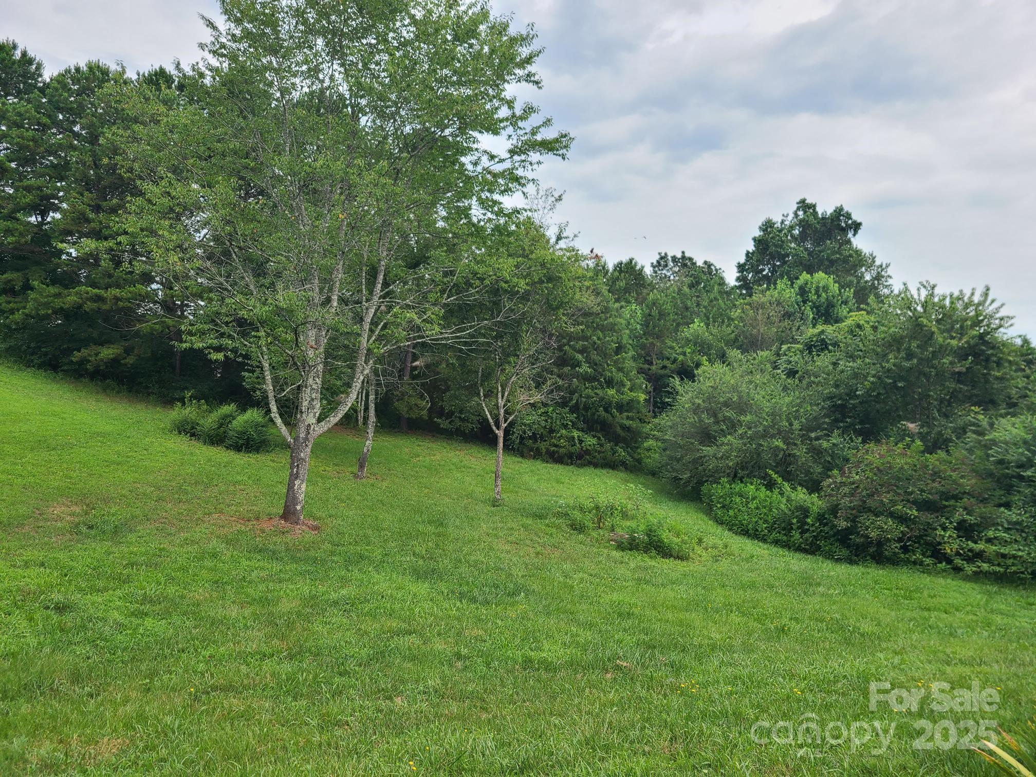 1098 Remington Drive Conover, NC 28613 - Photo 12 of 12 a view of a park