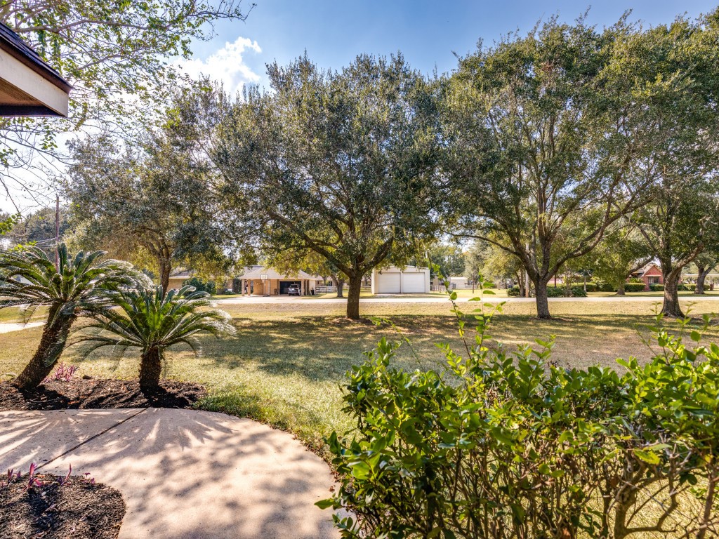2403 Pecan Wood Lane Rosenberg, TX 77471 - Photo 25 of 25 a view of yard with trees