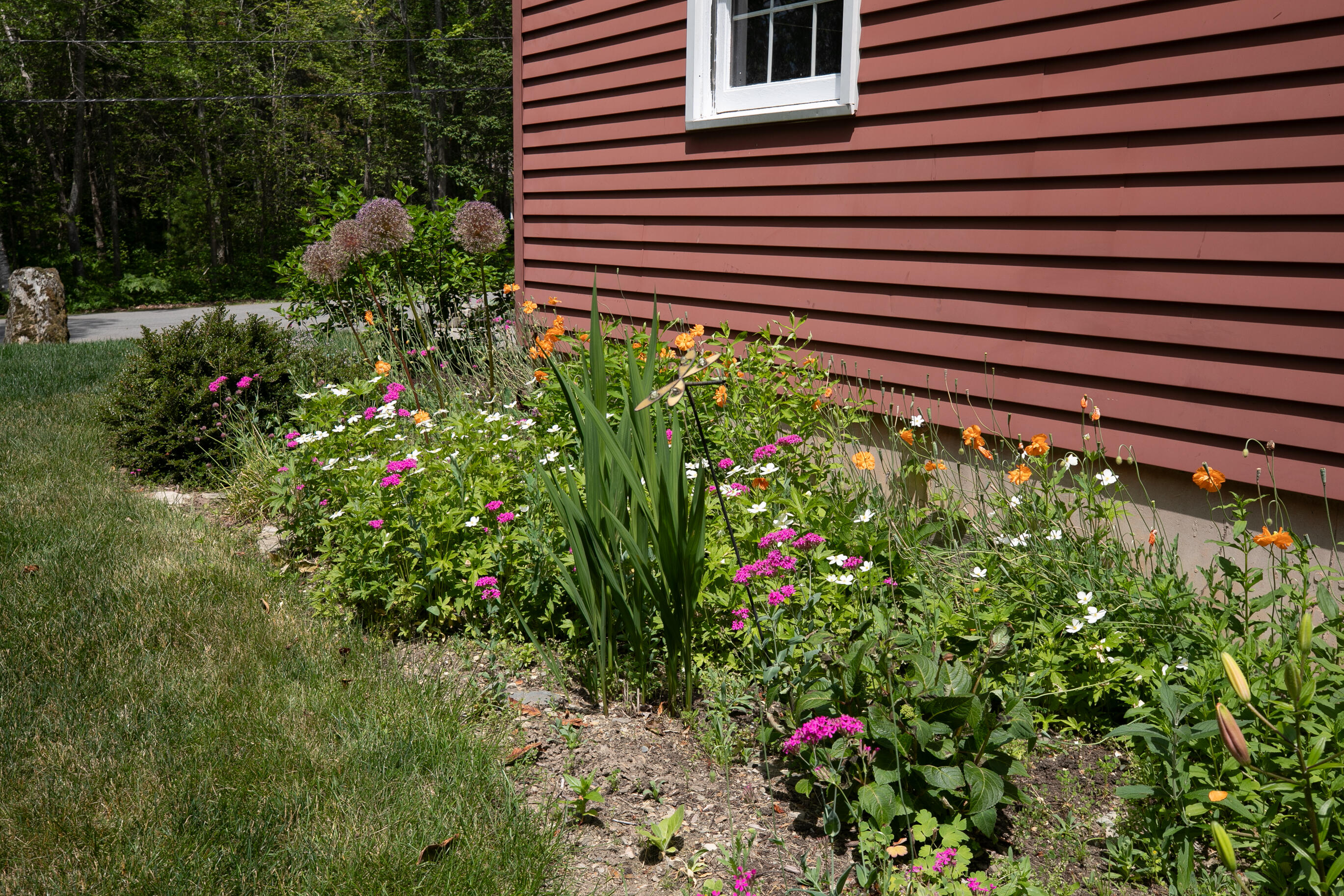 5 Woodridge Road Brewer, ME 04412 - Photo 87 of 90 WoodridgeRdBrewer_June_2025-83