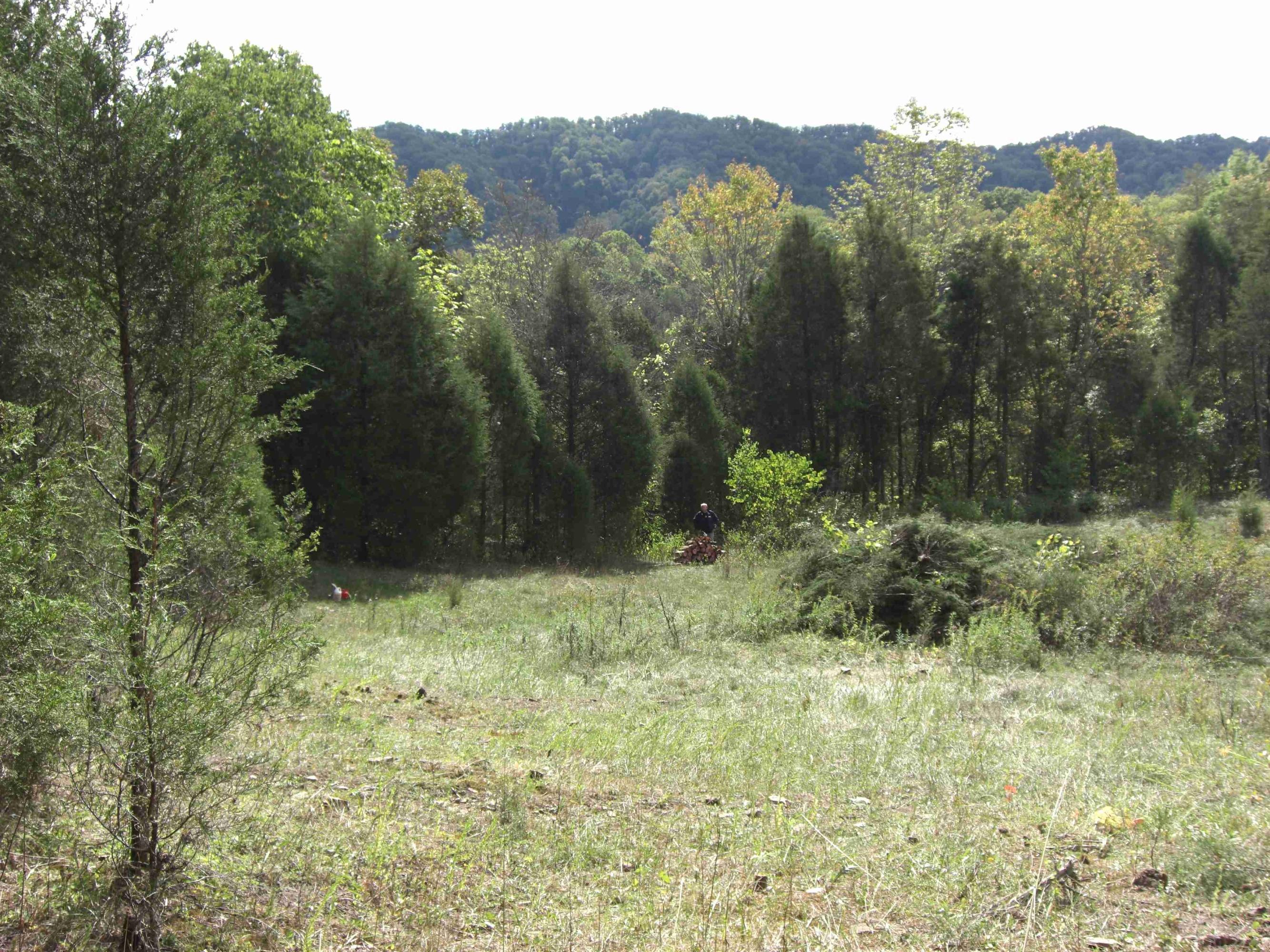 Mtn Valley Road Eidson, TN 37731 - Photo 1 of 14 CIMG0133_2
