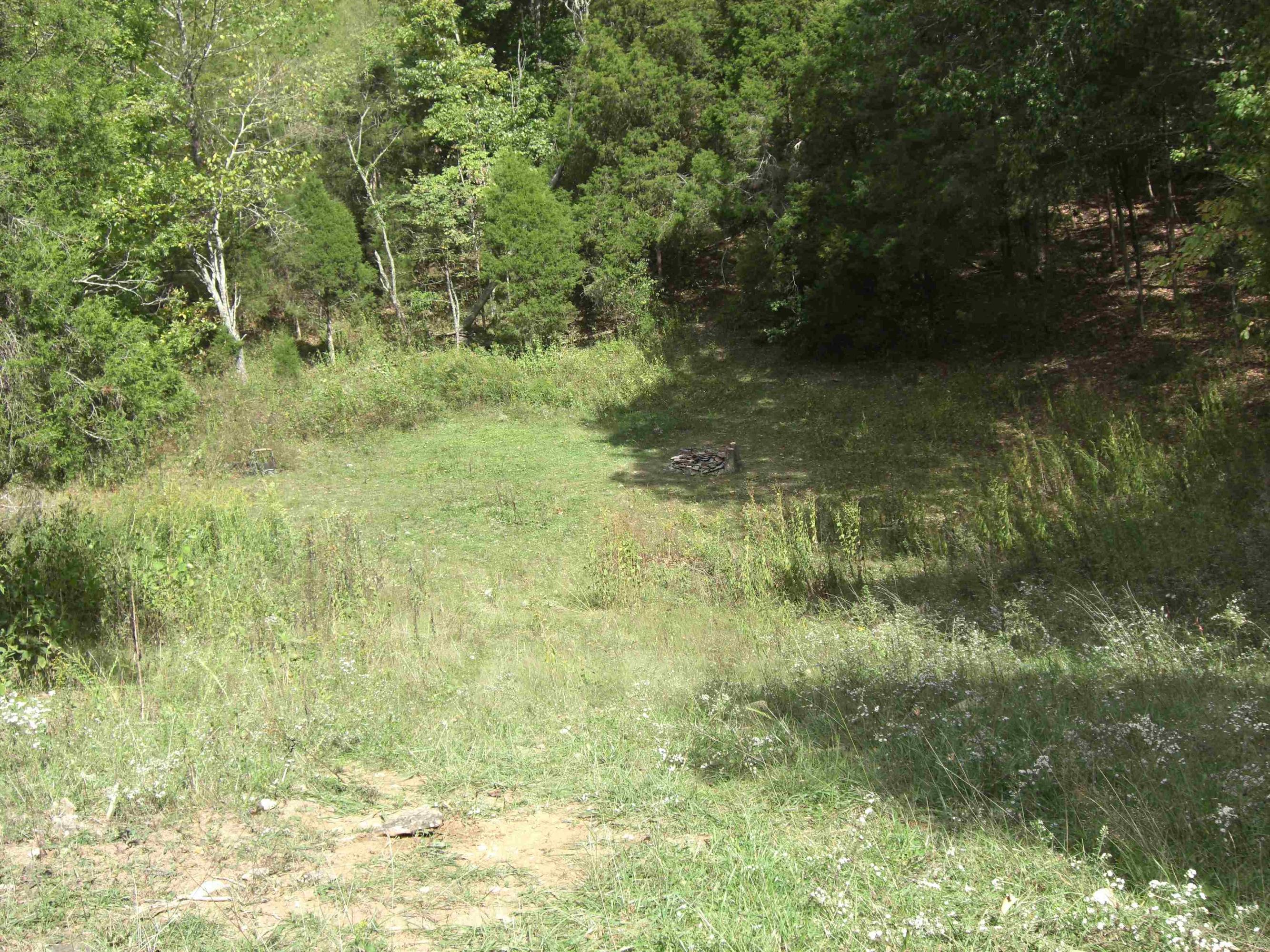 Mtn Valley Road Eidson, TN 37731 - Photo 2 of 14 CIMG0140_2