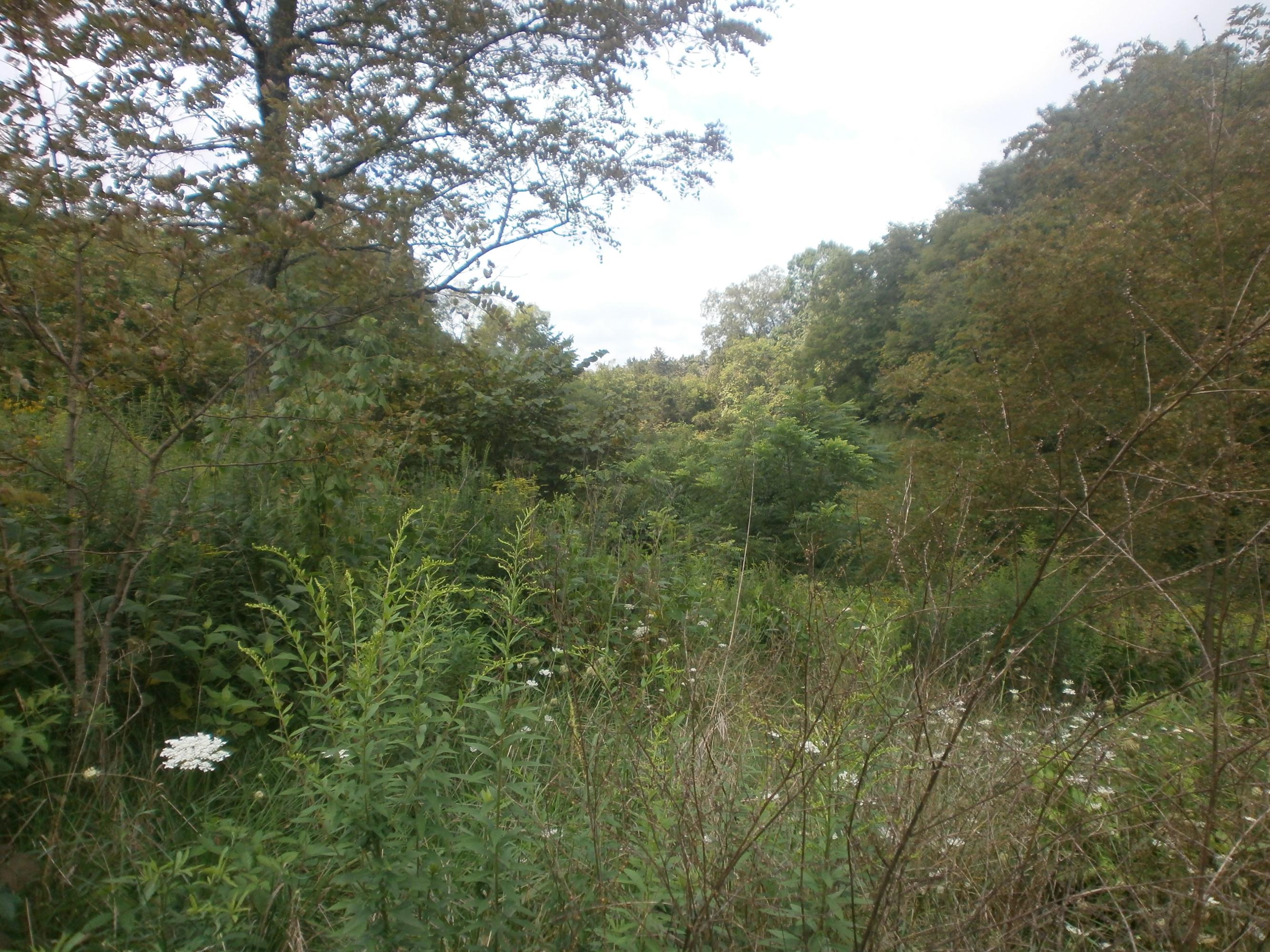 Mtn Valley Road Eidson, TN 37731 - Photo 12 of 14 008