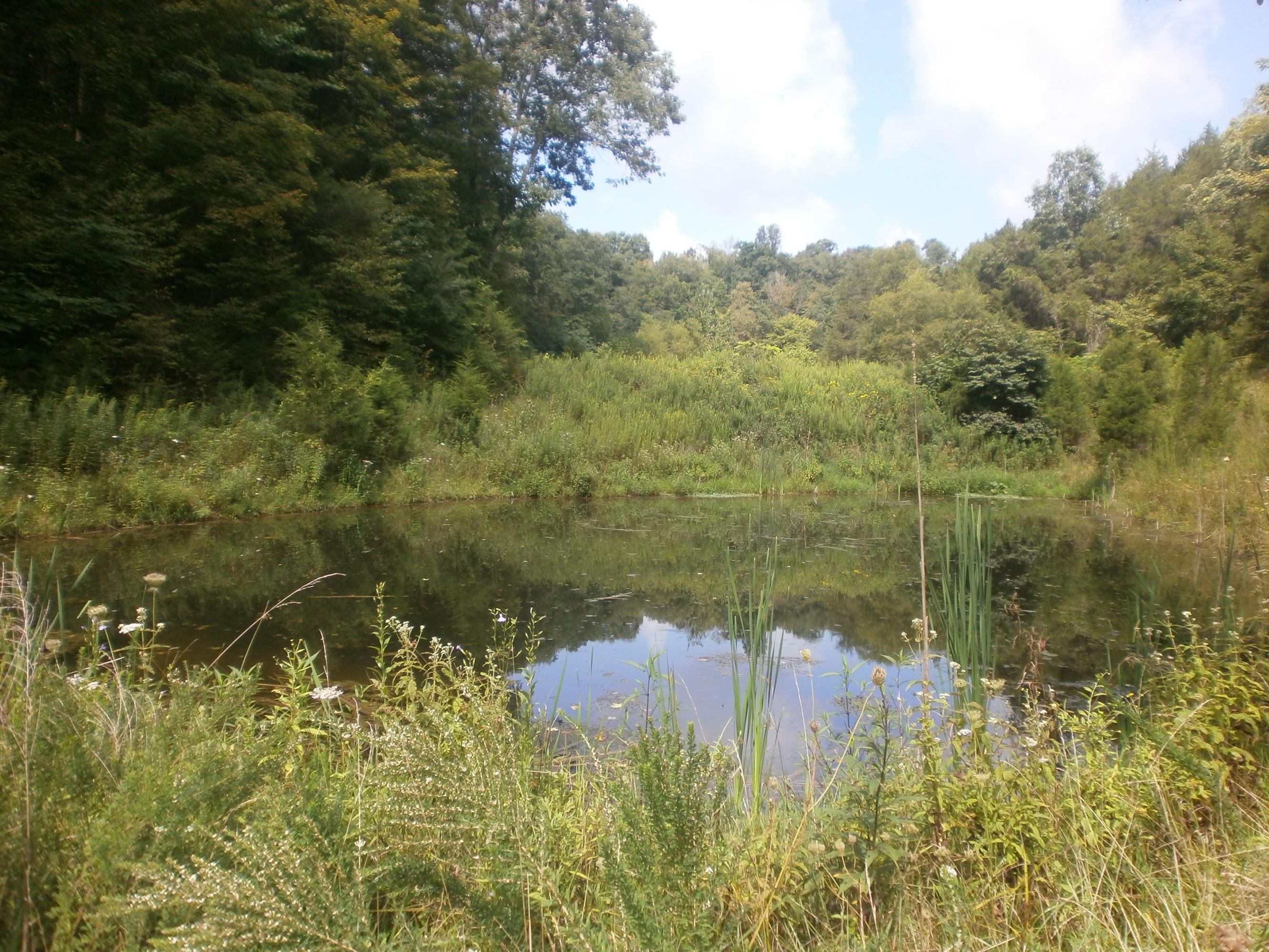 Mtn Valley Road Eidson, TN 37731 - Photo 13 of 14 009