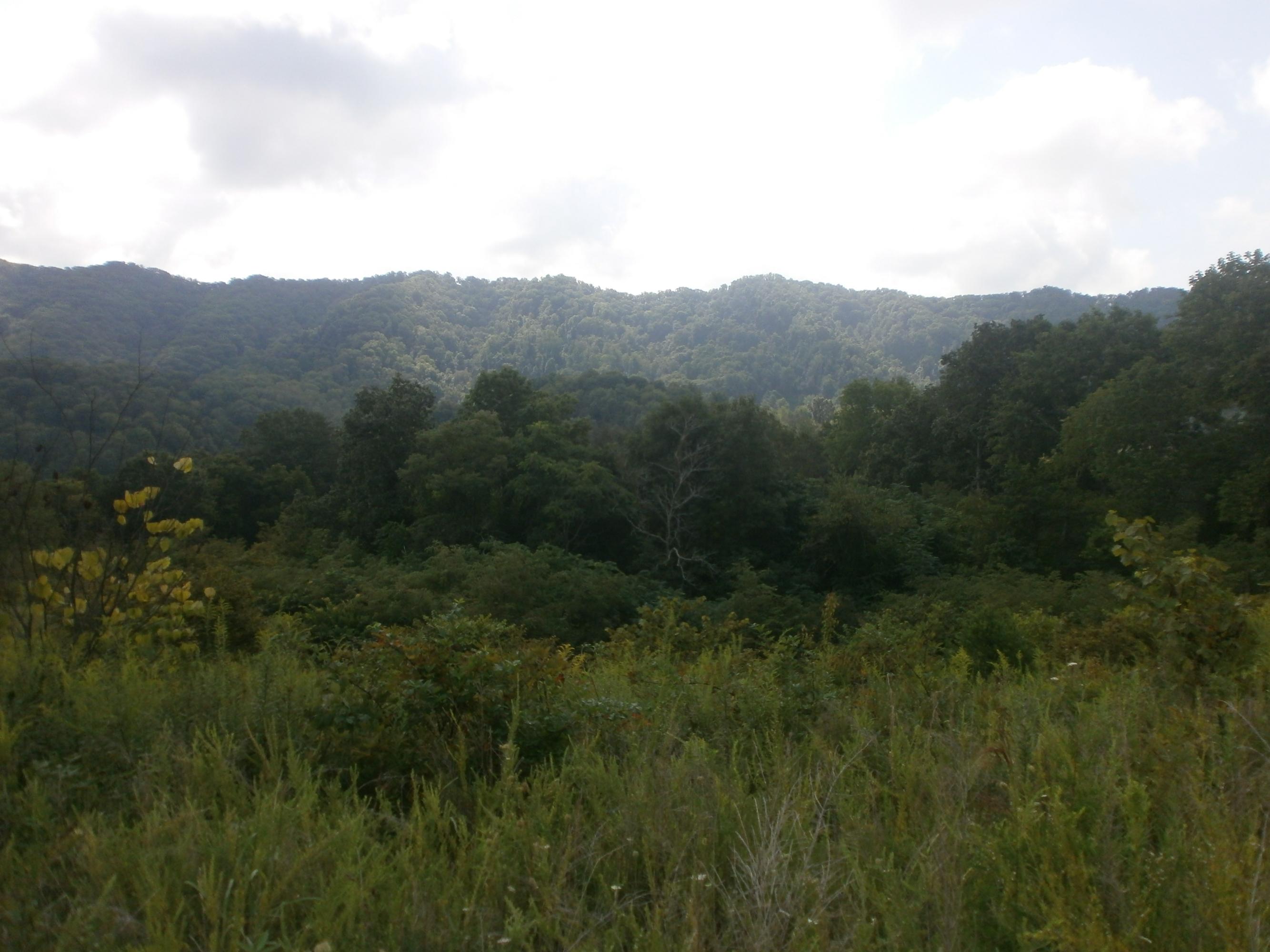 Mtn Valley Road Eidson, TN 37731 - Photo 6 of 14 002