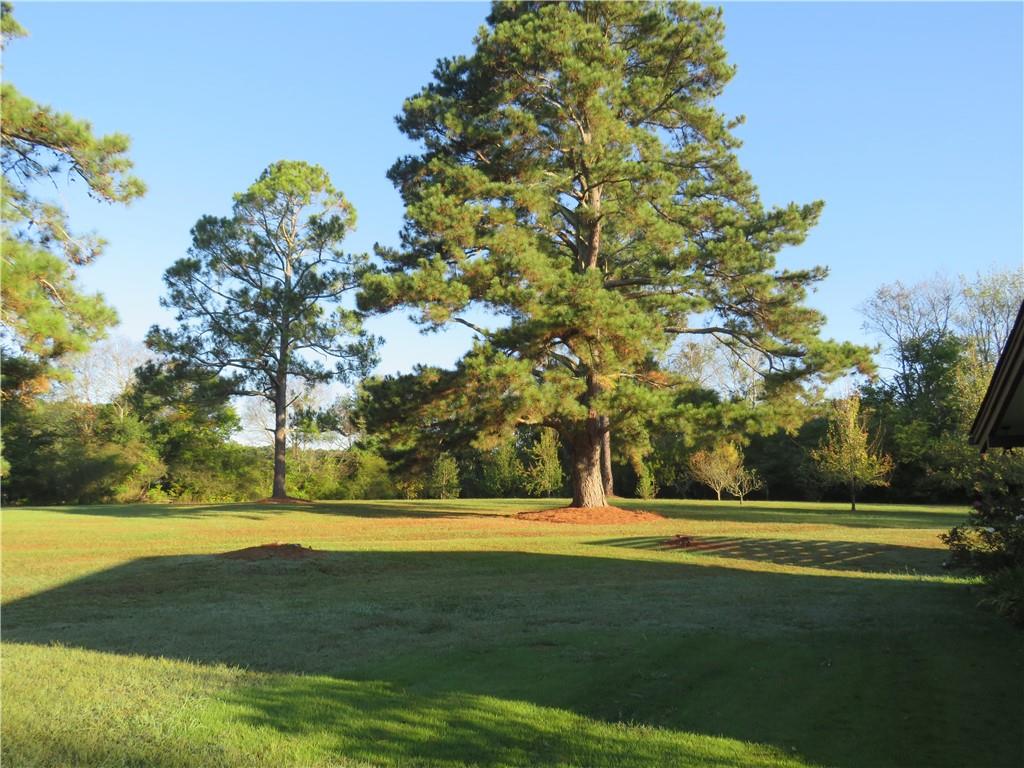1020 Cave Springs Road Cedartown, GA 30125 - Photo 8 of 101 Gallery Image 8
