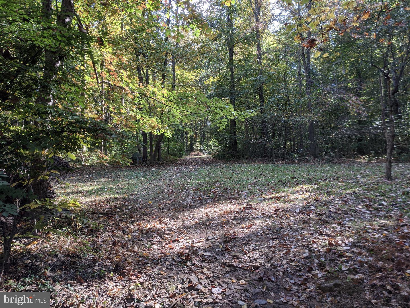 1326 Sheep Hill Road Pottstown, PA 19465 - Photo 3 of 20 Wooded Lot