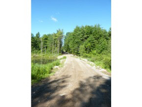 Lot 8 Bear Pond Road Bristol, VT 05443 - Photo 3 of 6 Gallery Image 3