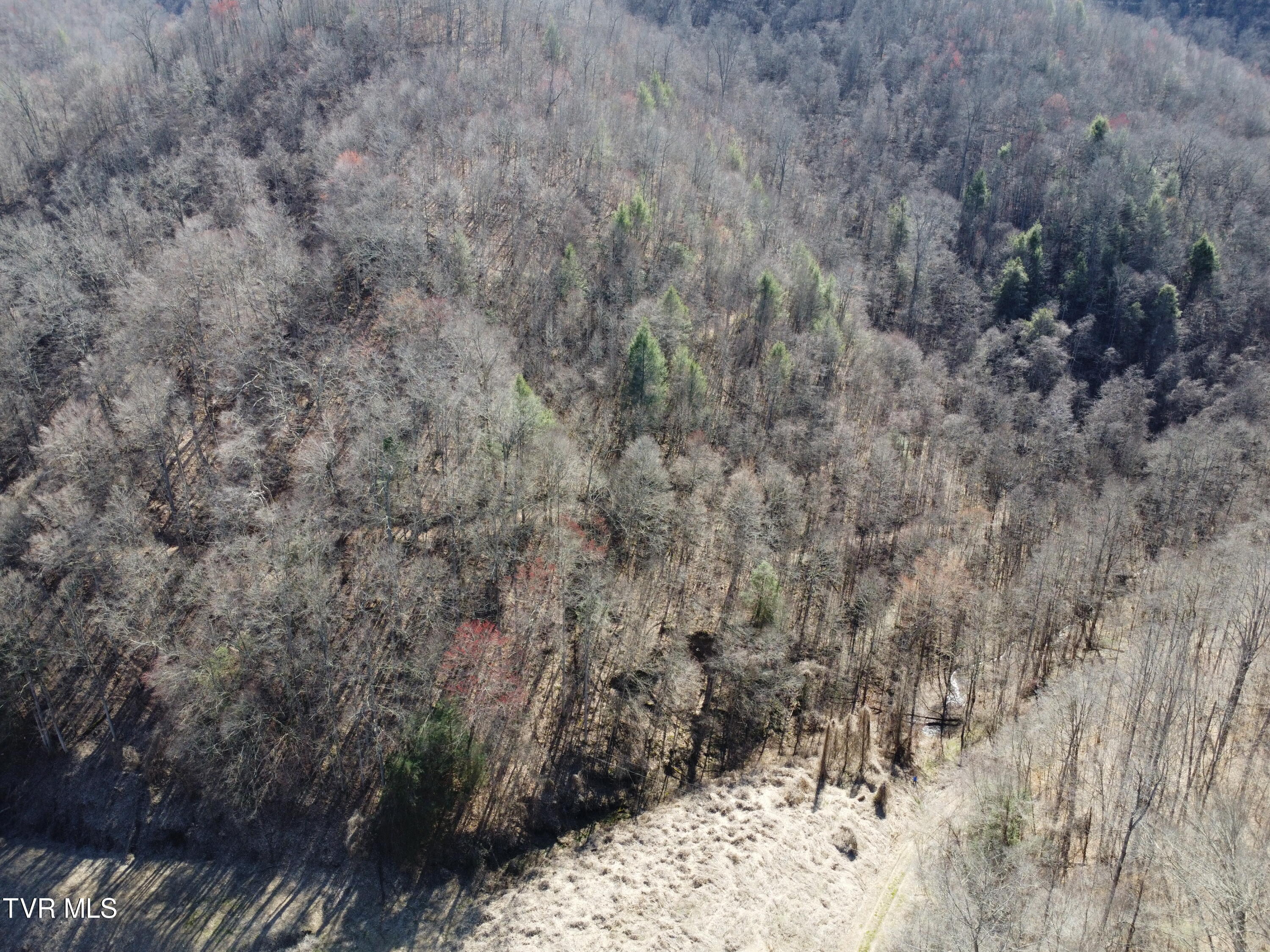 Tbd Bull Run Road Coeburn, VA 24230 - Photo 52 of 57 DJI_0639
