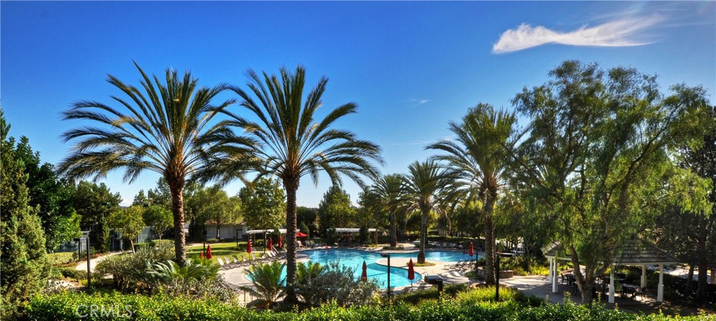 81 Mercantile Way Ladera Ranch, CA 92694 - Photo 49 of 51 a row of palm trees and swimming pool