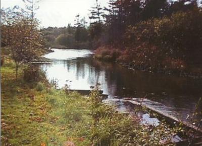 Primary Photo
