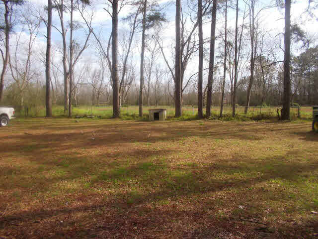 18812 Crocker Lane Foley, AL 36535 - Photo 13 of 14 serene backyard