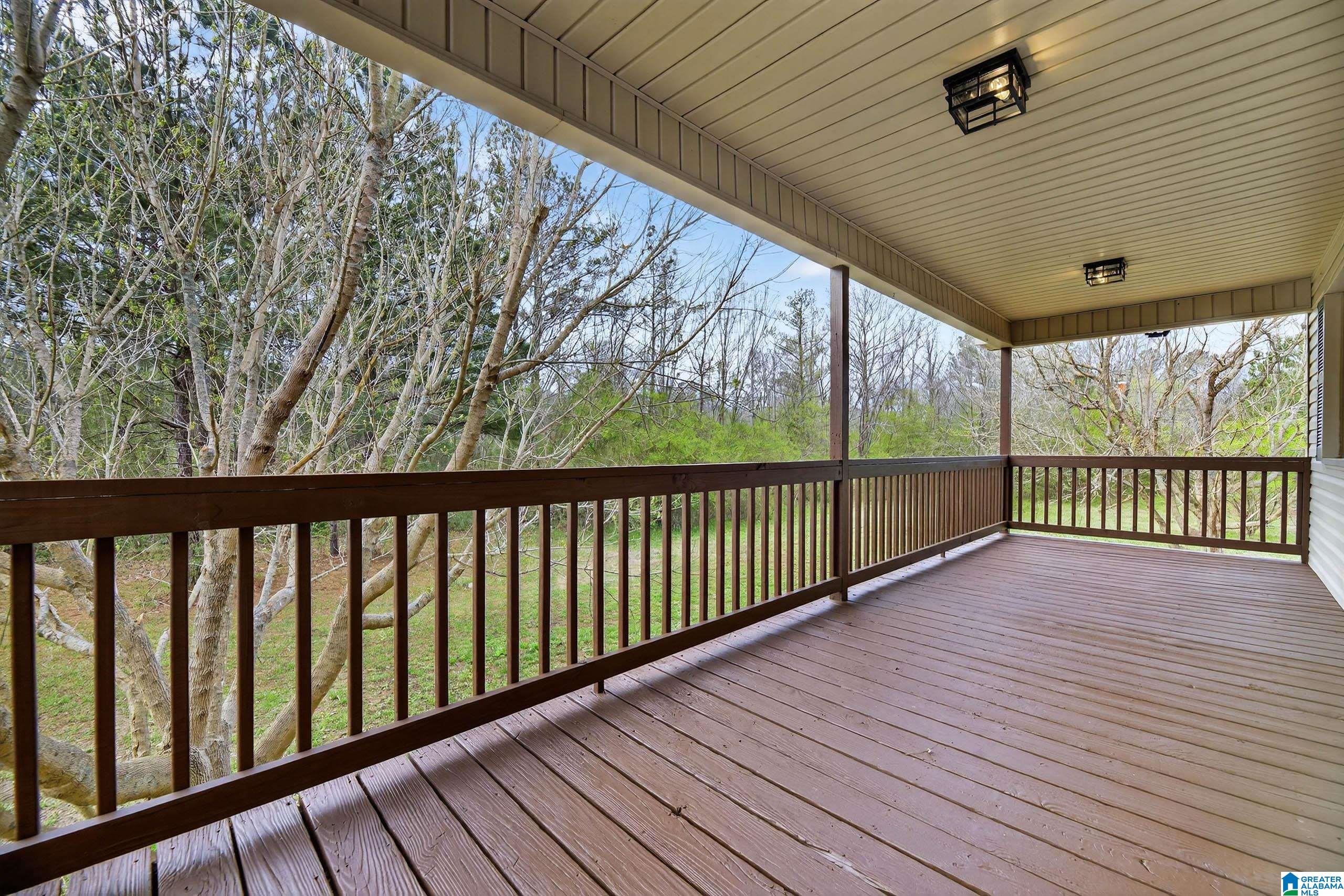 45 Hughes Road Piedmont, AL 36272 - Photo 3 of 38