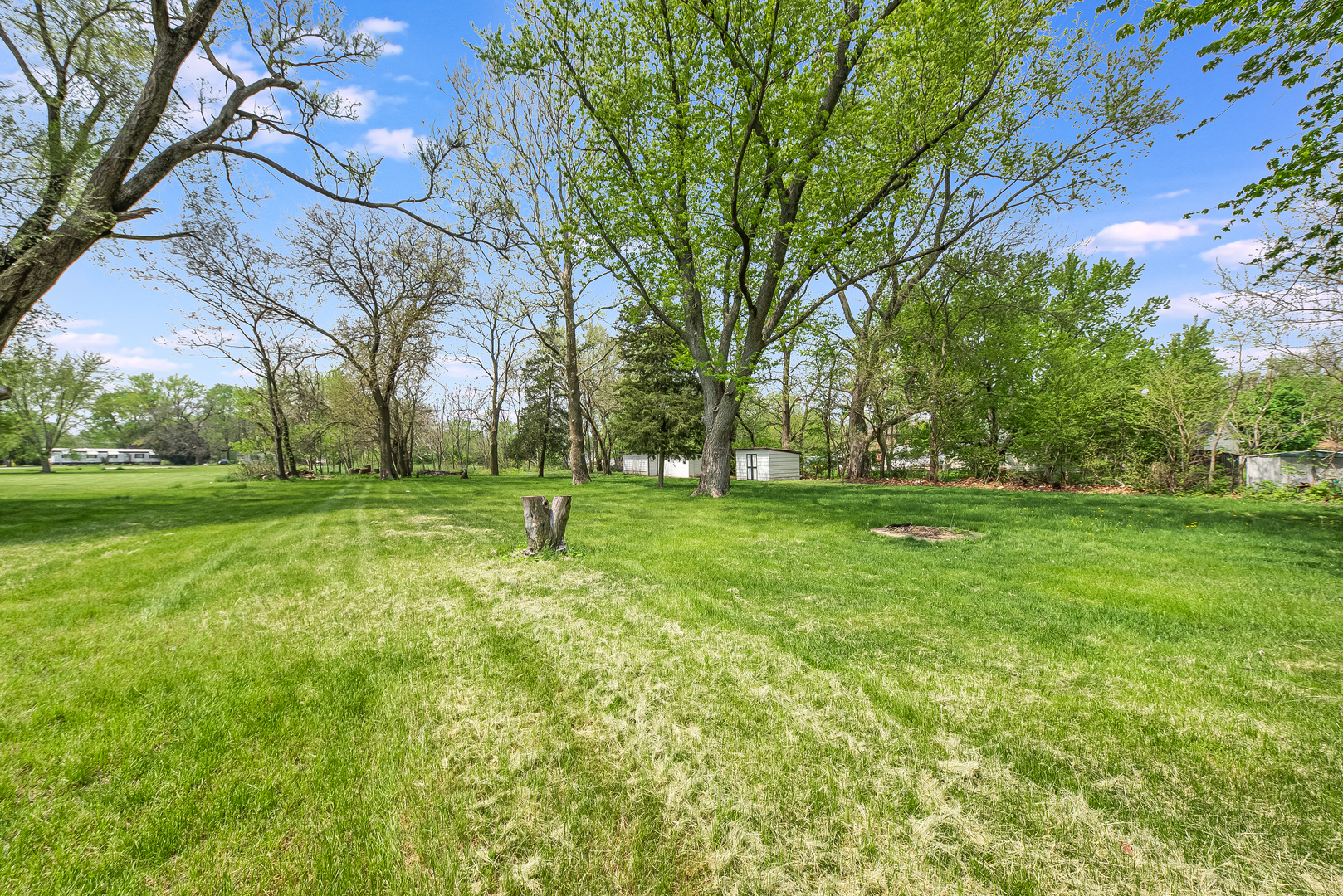 106 Round House Street Braidwood, IL 60408 - Photo 23 of 27 a view of yard with green space