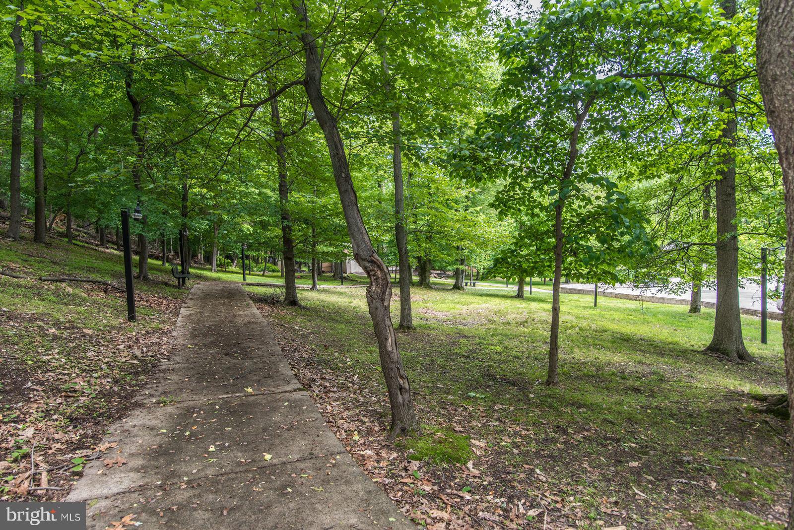 2500 Edge Hill Road Willow Grove, PA 19090 - Photo 103 of 110 Private, Peaceful and Secluded Setting.