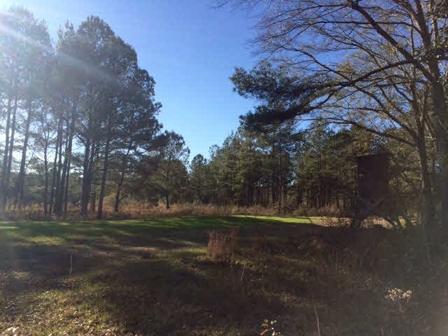 20932 Earl Phillips Road Little River, AL 36550 - Photo 15 of 17