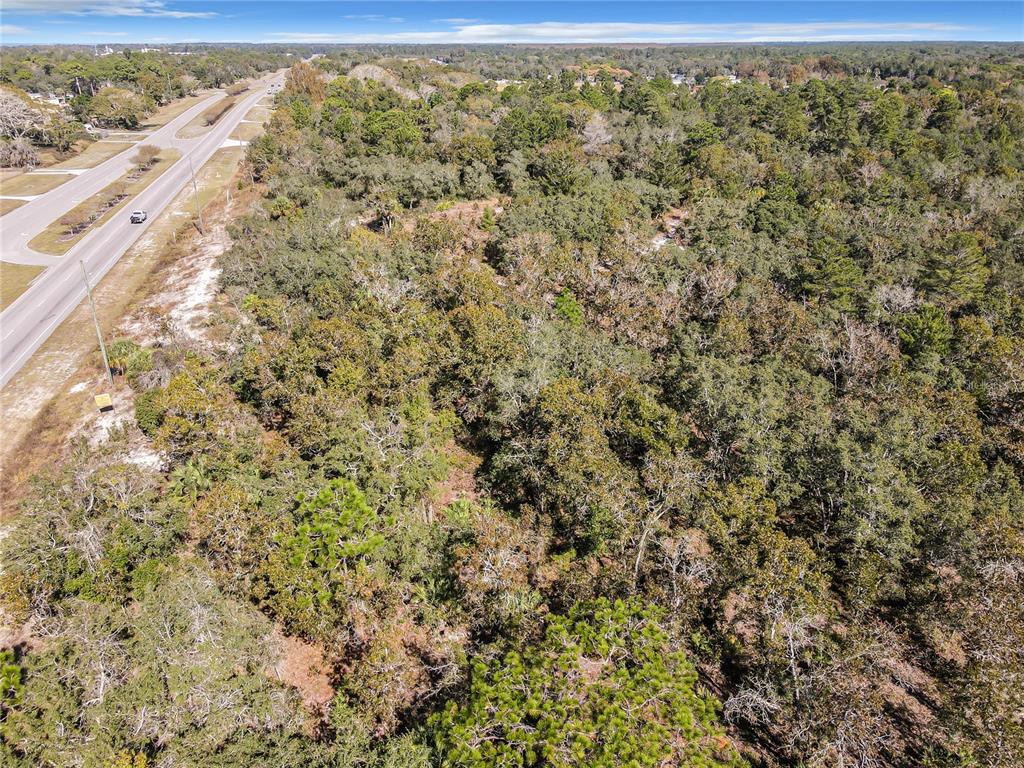 0 Little Road Hudson, FL 34667 - Photo 8 of 13