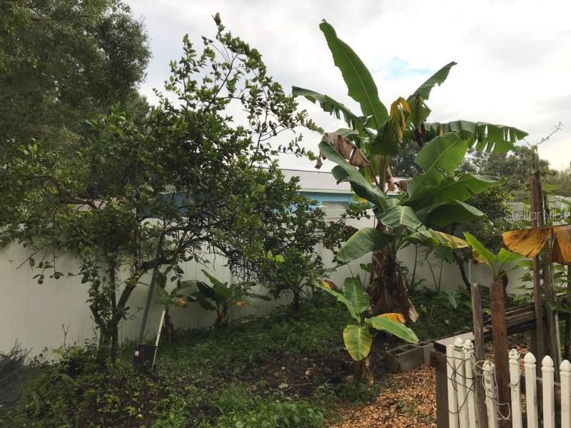 4859 Billy Direct Lane Lutz, FL 33559 - Photo 15 of 15